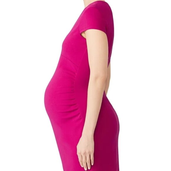 Slate & Willow Maternity Sheath Dress - Picture 3 of 5